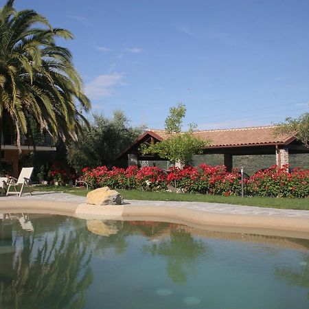 Agriturismo Ada Musso Ss Diano Borello Exterior foto