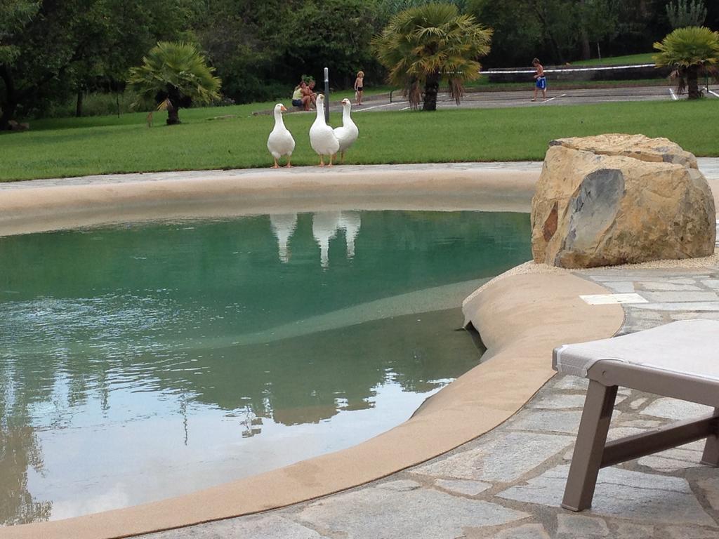 Agriturismo Ada Musso Ss Diano Borello Exterior foto