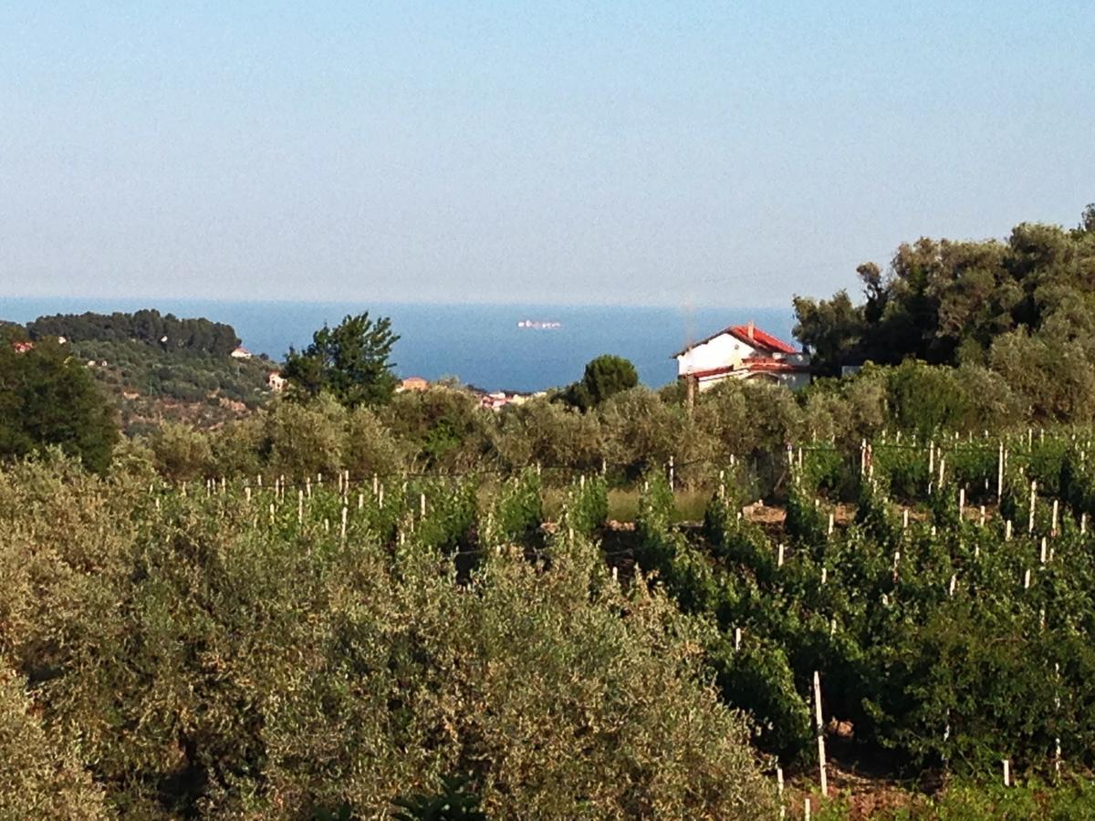 Agriturismo Ada Musso Ss Diano Borello Quarto foto