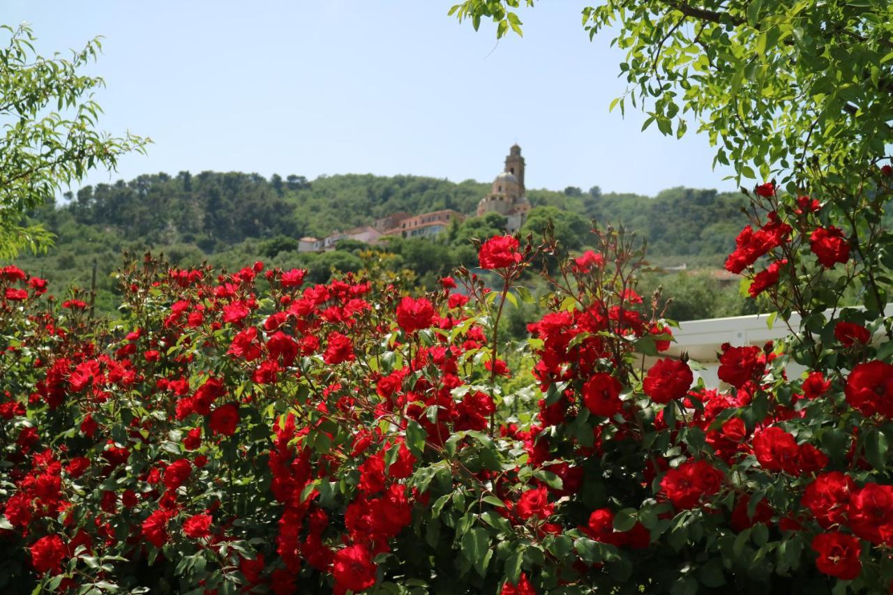 Agriturismo Ada Musso Ss Diano Borello Exterior foto